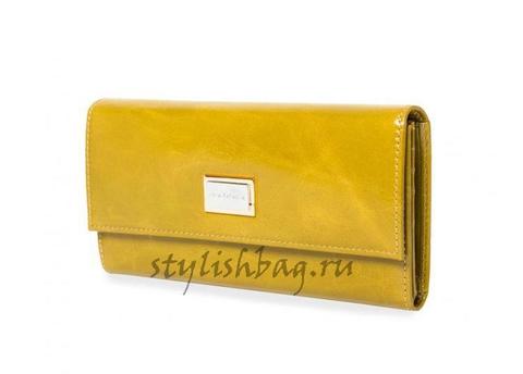 Женский кошелек Nina Farmina 2NF9280JGorch